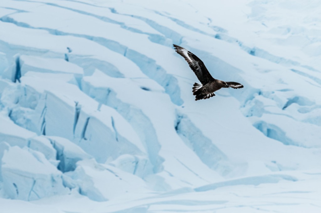 Unlocking the Educational Wonders of Antarctica